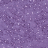 Speckles by Anthology Fabrics