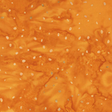 Speckles by Anthology Fabrics
