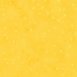 Speckles by Anthology Fabrics