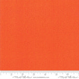 Thatched by Robin Pickens for Moda Fabrics