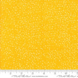 Dotty Thatched by Robin Pickens for Moda